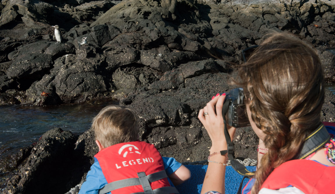 Bartolome in Galapagos Islands with kids looking a Galapagos penguin in the rocks and taking pictures