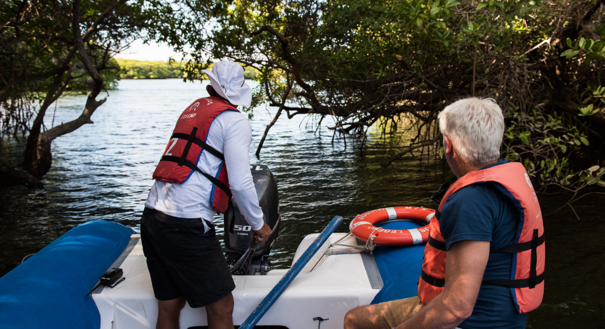 Black Turtle Cove - Santa Cruz in the Galapagos view of mangrove in panga with tourist