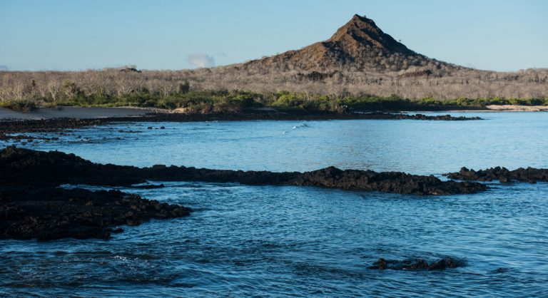 Dragon Hill - Santa Cruz in the Galapagos view of the sea and the volcano with nature