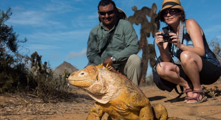 Dragon Hill - Santa Cruz in the Galapagos Islands, view of volcanic beach and tourist watching a land iguana