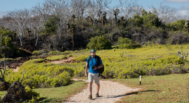 Dragon Hill - Santa Cruz in the Galapagos Islands, view of the nature and tourist walking in the hill