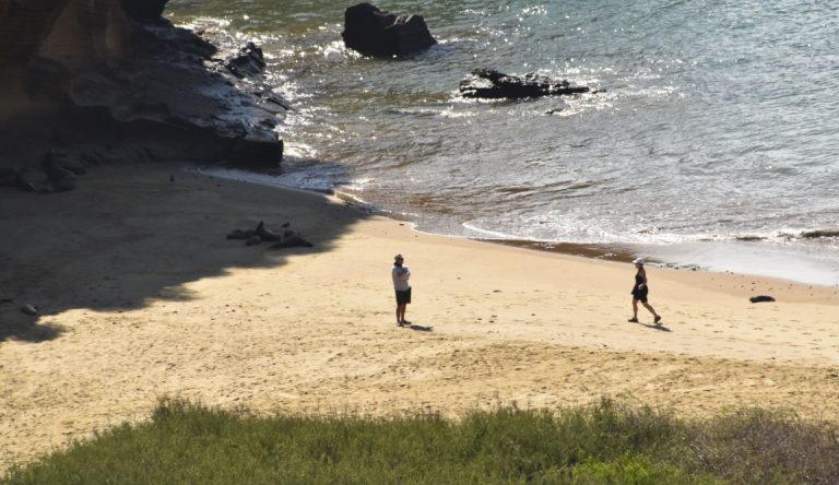 Pitt Point - San Cristobal in Galapagos Islands, tourist interacting with a sea lions in golden sand beach