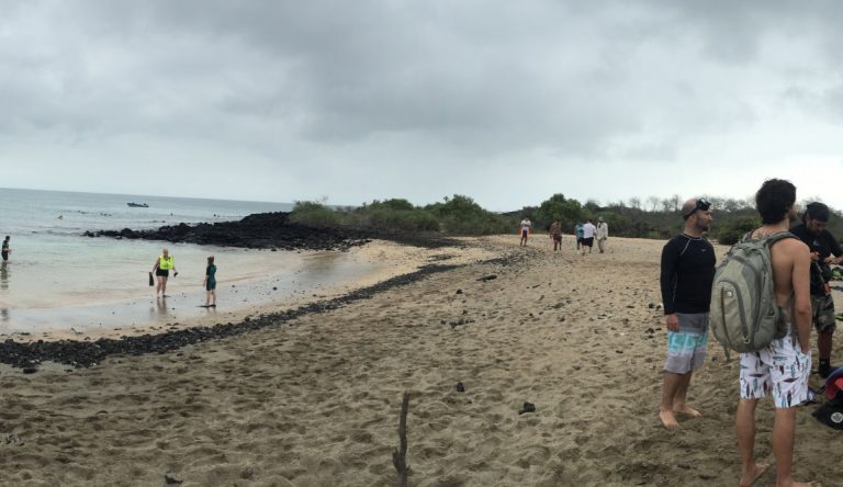 Post Office - Floreana Island in the Galapagos, view of a beach with tourists