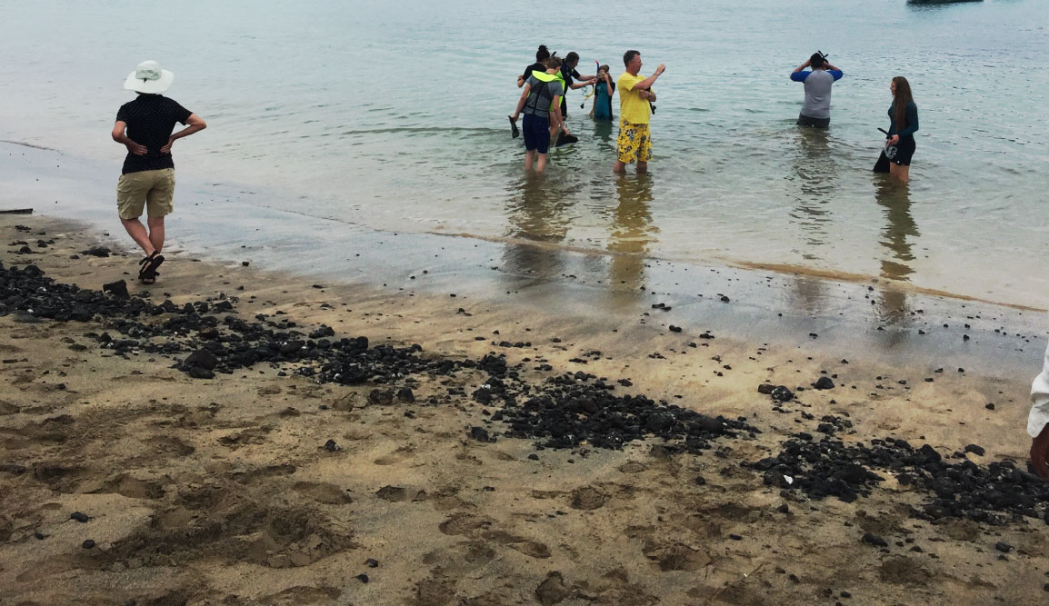 Post Office - Floreana Island in the Galapagos, view of a beach with tourist