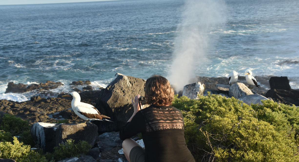 Suarez Point - Española in Galapagos Island Landscape view of the blowhole and tourist looking the masked boobies