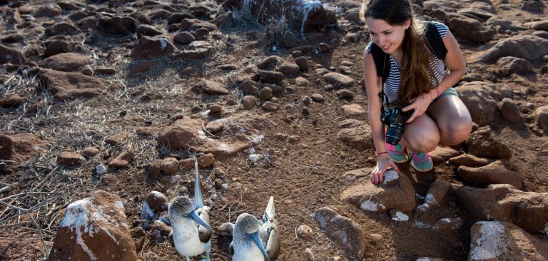 Galapagos fearless Blue Footed Booby couple with a photographer