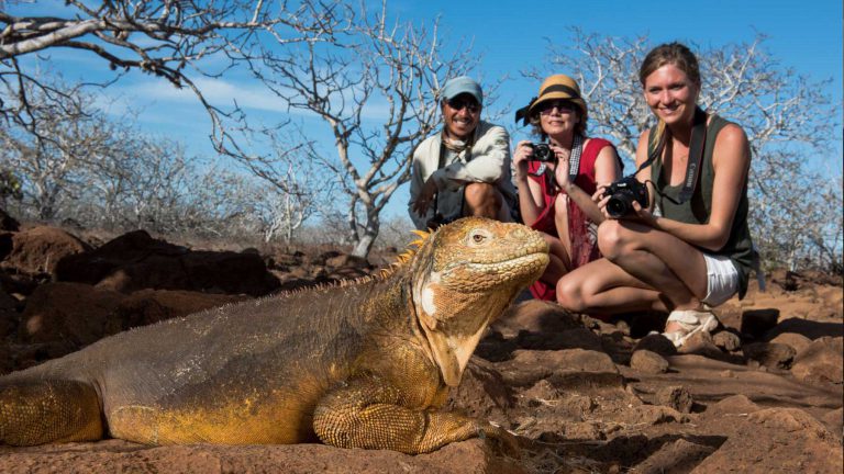 hikingiguana