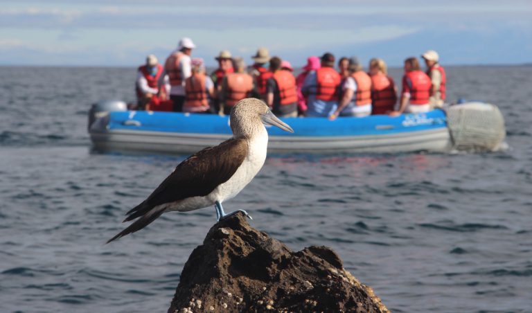 punta carrion 2