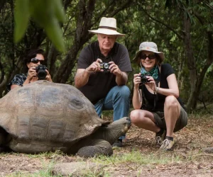 tortoise-galapagos